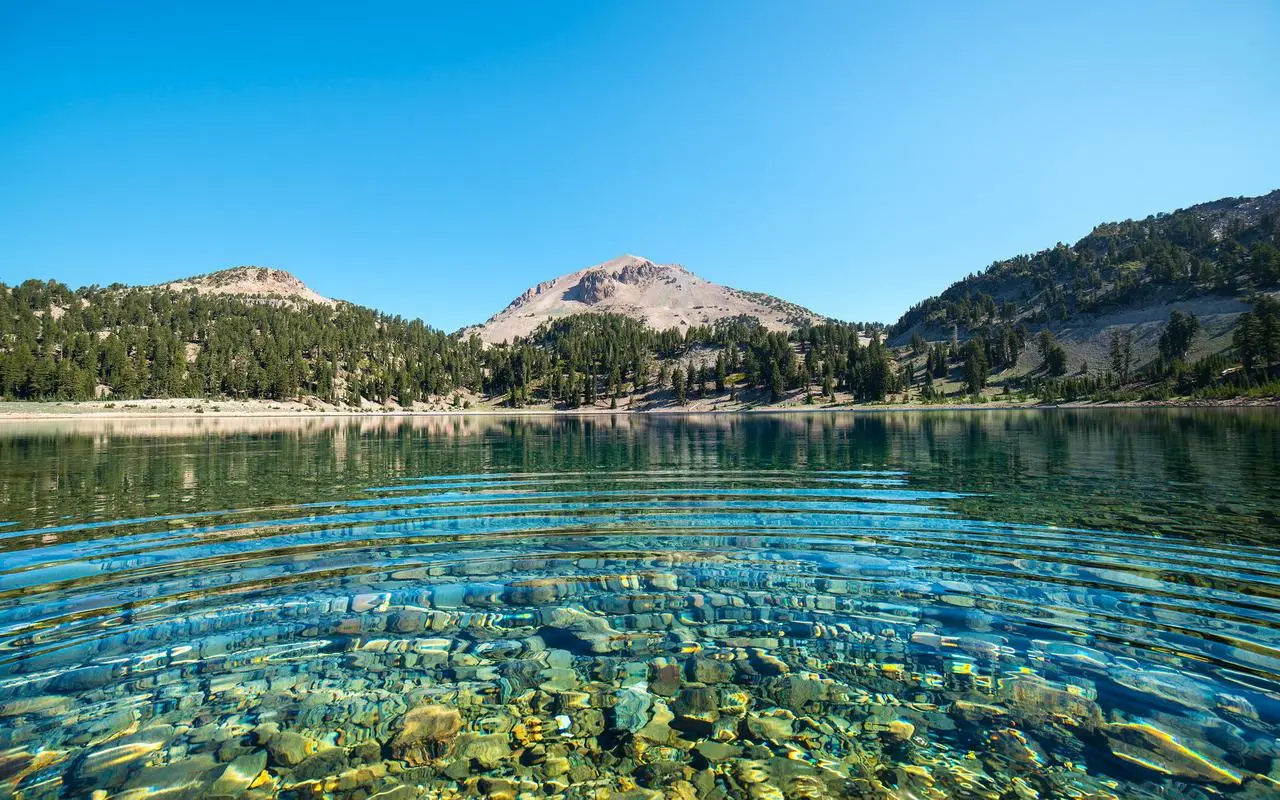 智能化创新全自动
